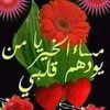 user13168042025542