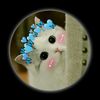 unknowndarklife