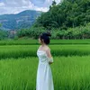 phng.h1258