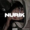 im.nur009