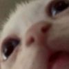 reallemonmike