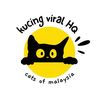 kucingviralhq