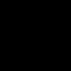 pp117ll