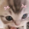 brrycookiecat