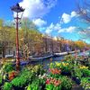 ayham.alkanous