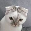 user328144517841