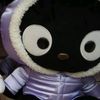 c4tbutf1shy__