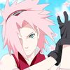 _sakura_iik