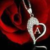 amir.aljanoub