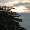 rathamani907