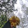 rindu6497
