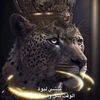 yafa720