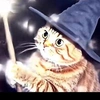 wizard_cat000