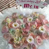 thi.hien.phan84