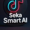 Seka smart AI