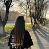 guni_185