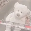zzz10125
