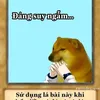 con.cu.to.dun