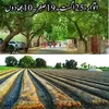 salmanarif7100