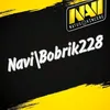 navi_bobrik