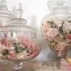 jasmine.jasmin05