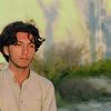 taimoork073