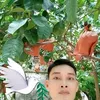 haonguyen.80