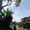 il_ma09