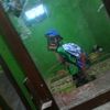 devi.khumaeroh5