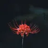 🥲 Song Thư bị chặn live 😭