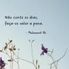 yone.marcelina.al