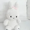 toca75648