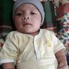 yarman.halawa84