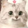 userdh38_