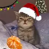last.christmas78