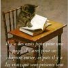moustapha.zeid