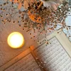 mlak.hussien