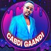 abdi.gaandi