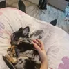 daisymamatnd