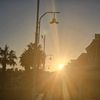 frederieke_5