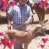 manuel.manolo.tor