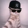 typ_monki