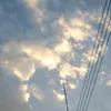 lq11044