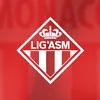 Lig’ASM