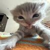 andrew_29283