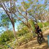 mendozakevin27321