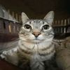 1m_t0at3d
