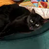 eymine.hf