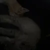 yamilettrm214