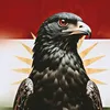 polat.ali28